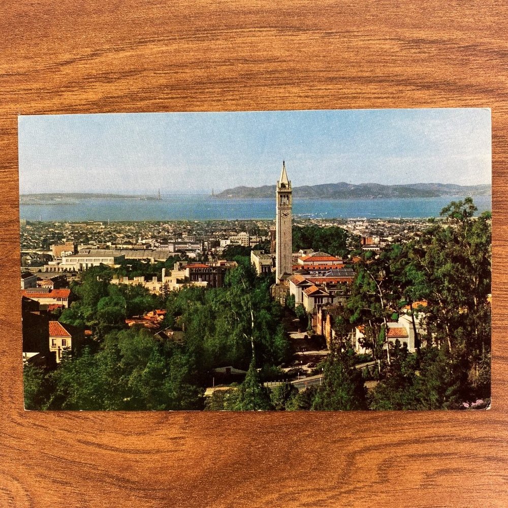 Vintage California Souvenir Travel Postcard
